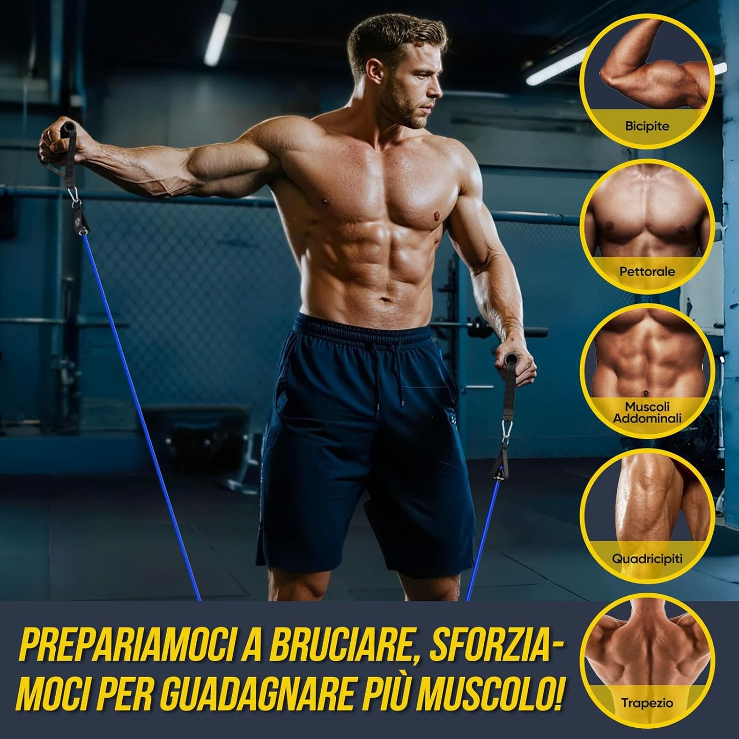Elastici Fitness,5 Livelli Di Bande Elastico Palestra Elastiche Fitness Set Fasce Di Resistenza Con Maniglie,Cinturino Alla Caviglia,Ideale per Yoga,Pilates,Costruzione Muscolare
